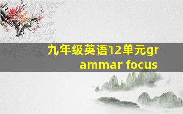 九年级英语12单元grammar focus